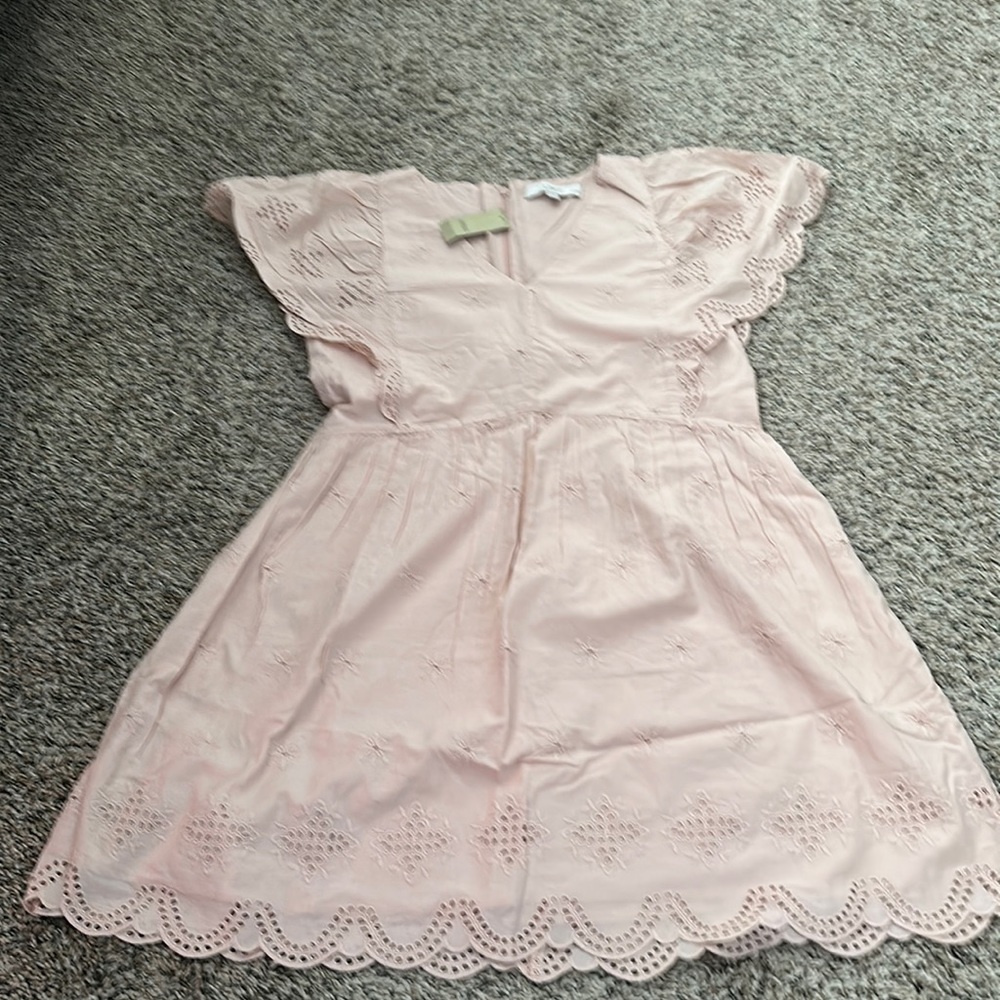 Pale pink Dress